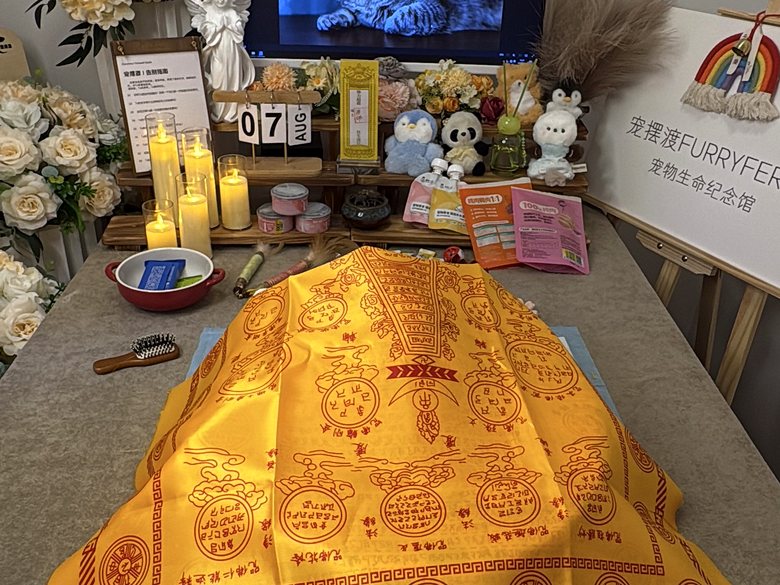 宠物纪念相册与追思布置