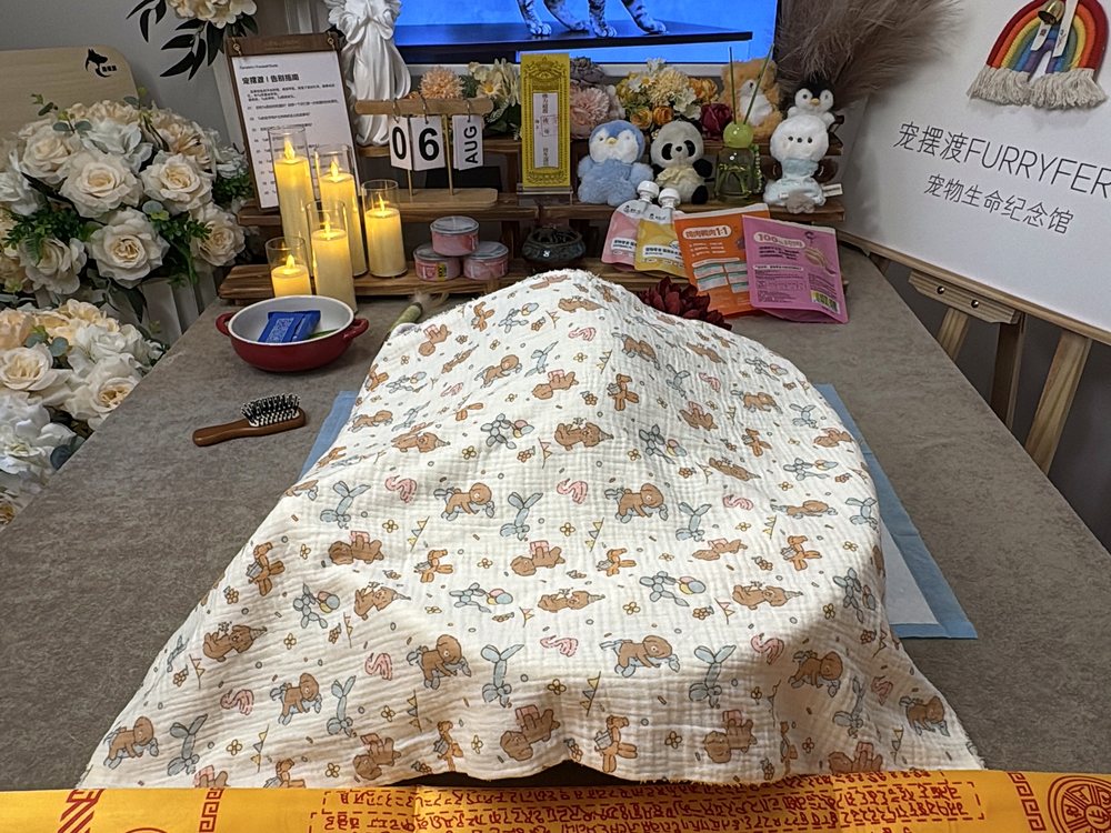 宠物告别仪式现场布置